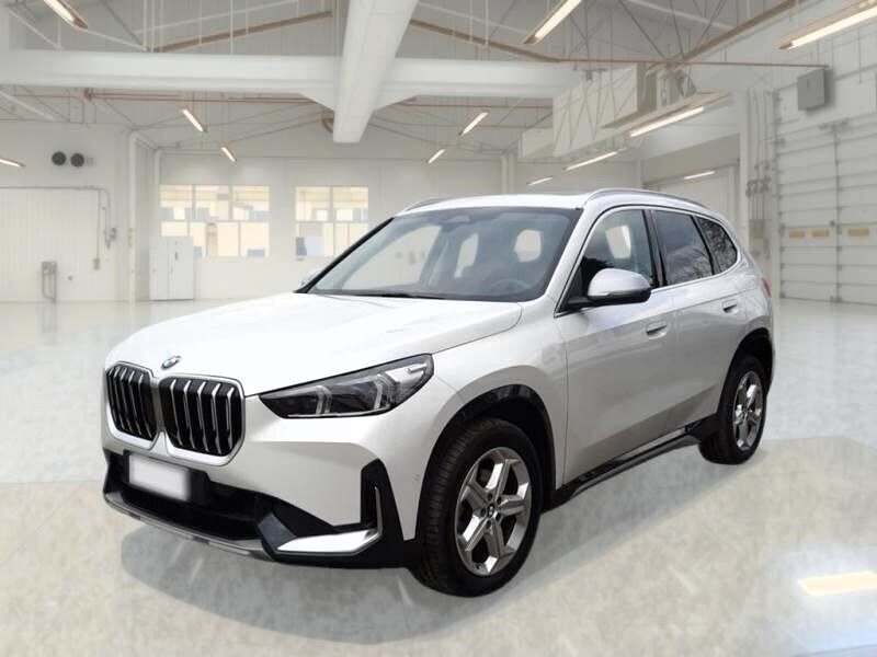 BMW X1            (U11)
